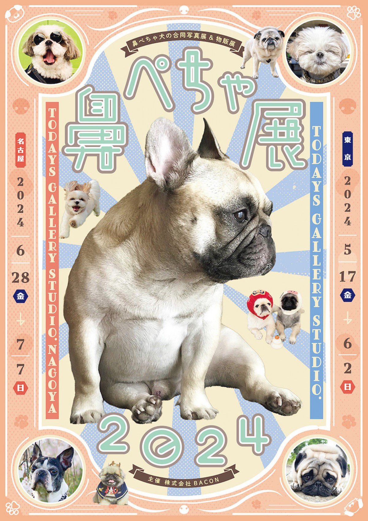 240426_鼻ぺちゃ展