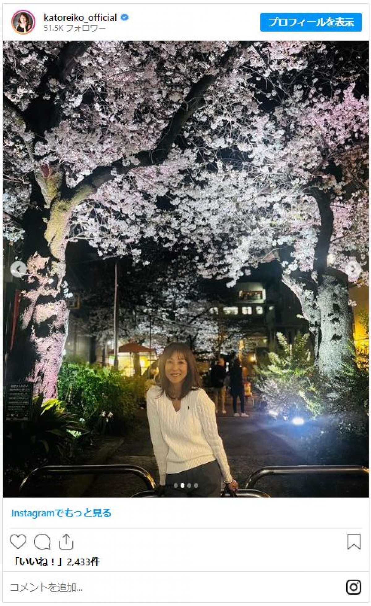 美女たちと桜が“美の競演”！　女性芸能人のお花見ショットをイッキ見