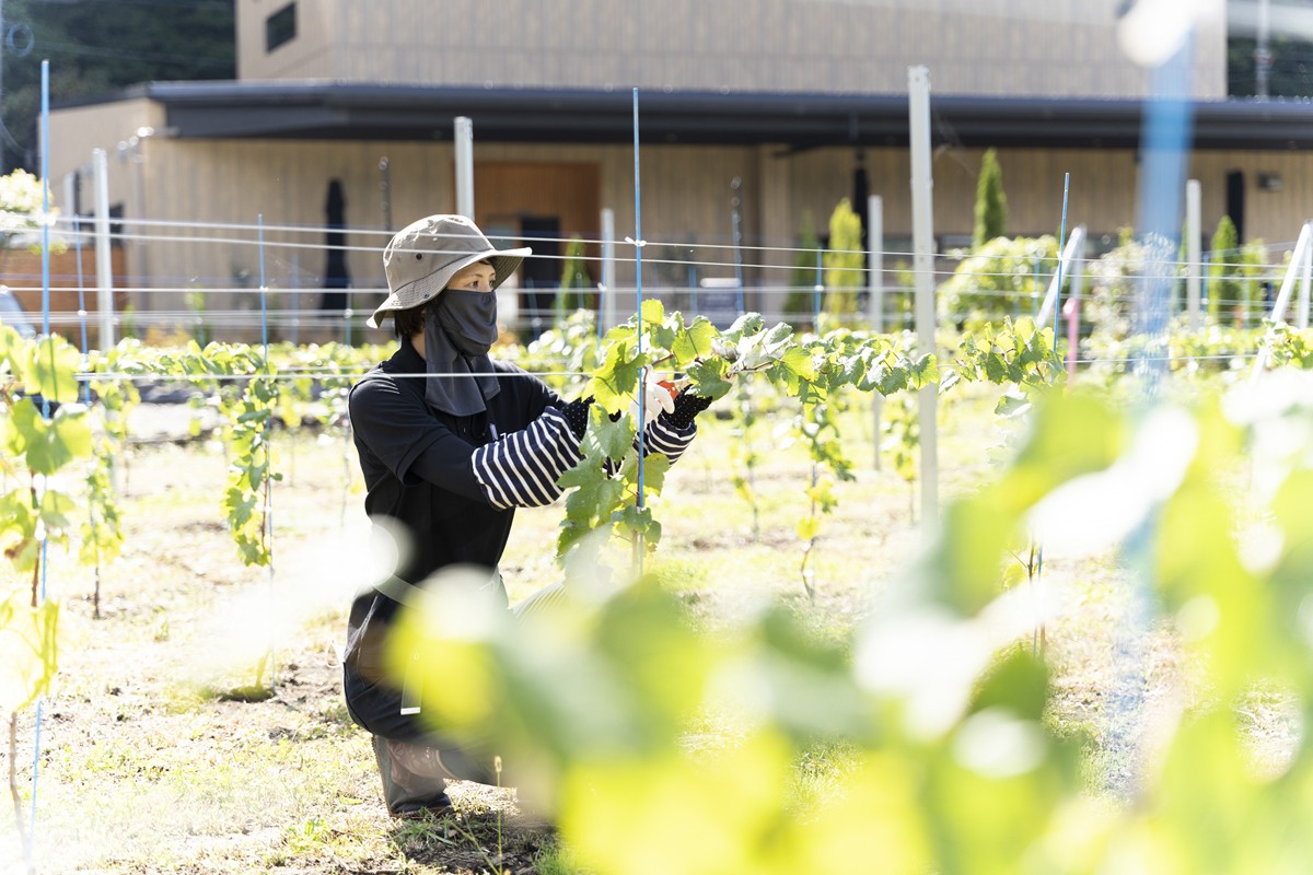 20240430「7c villa＆winery」