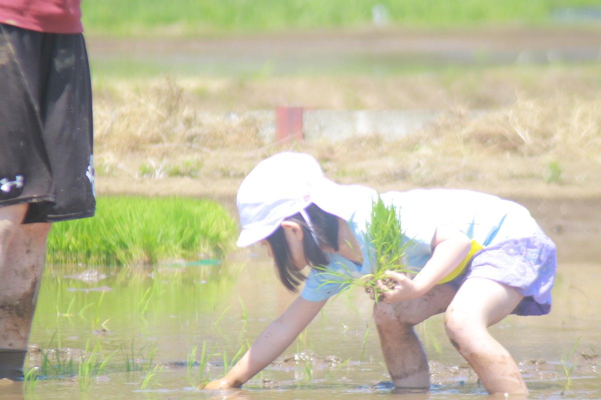 20240422「GWやきいも工場祭2024」