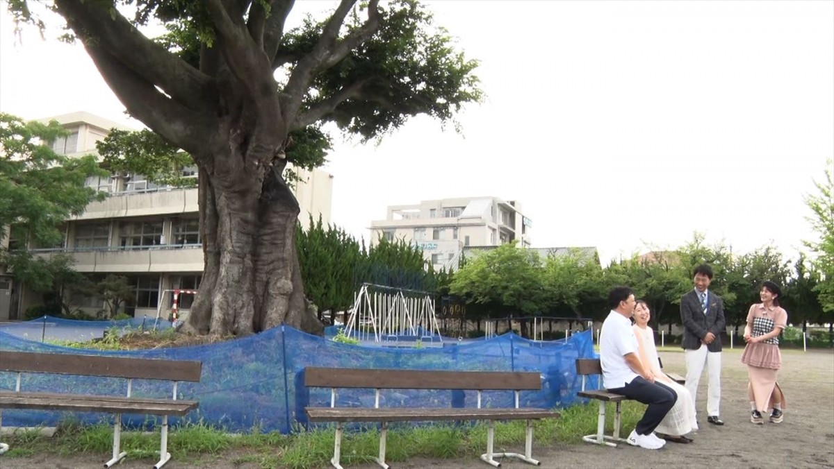 出会った小学校で告白もプロポーズした夫　交際を振り返って涙した理由とは？　今週の『新婚さん』