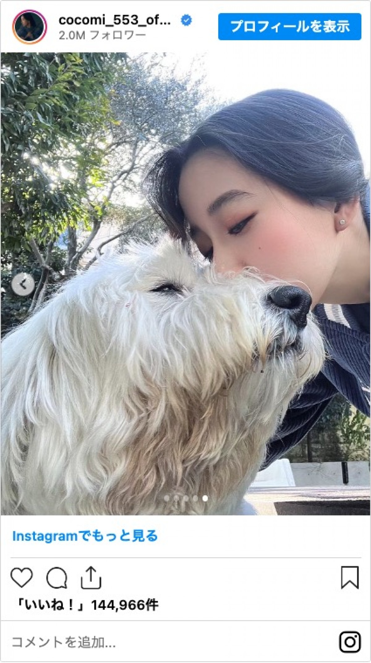 Cocomi、Koki，愛犬が天国へ「木村家に来てくれてありがとう」