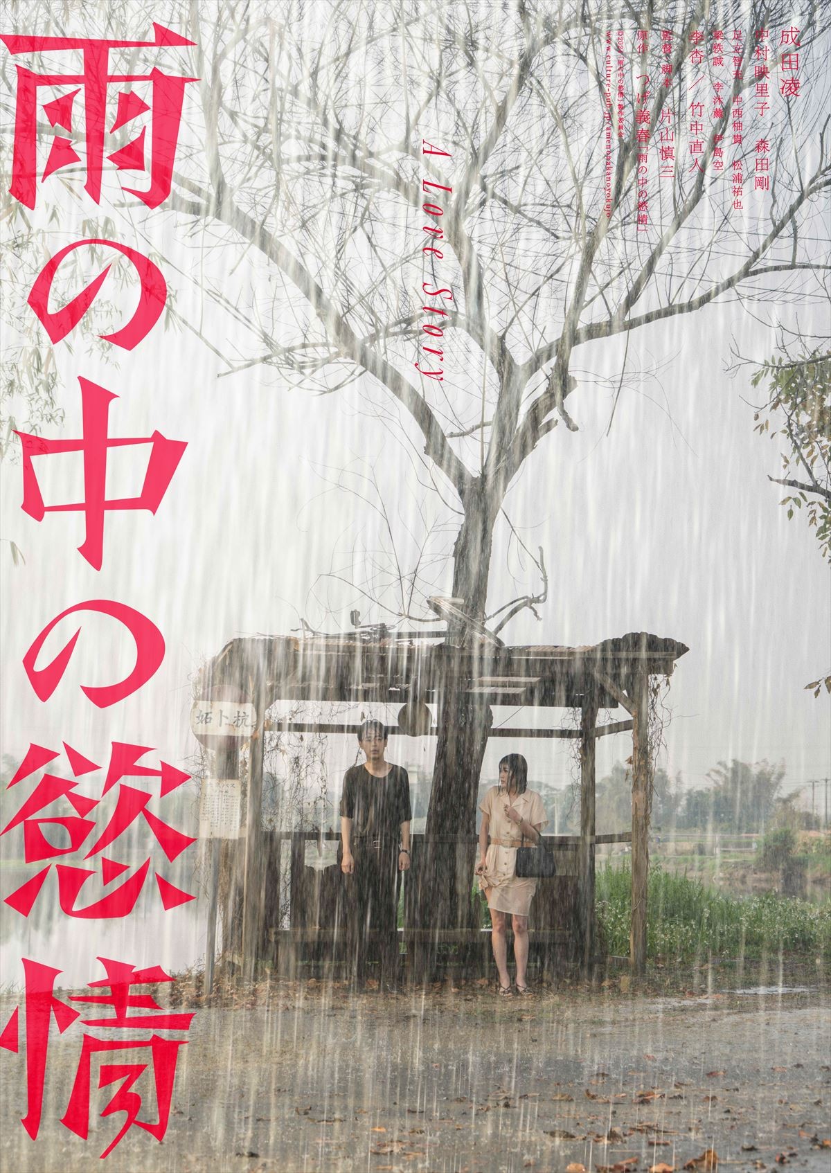 成田凌×中村映里子×森田剛『雨の中の慾情』数奇なラブストーリーへの期待高まる特報解禁