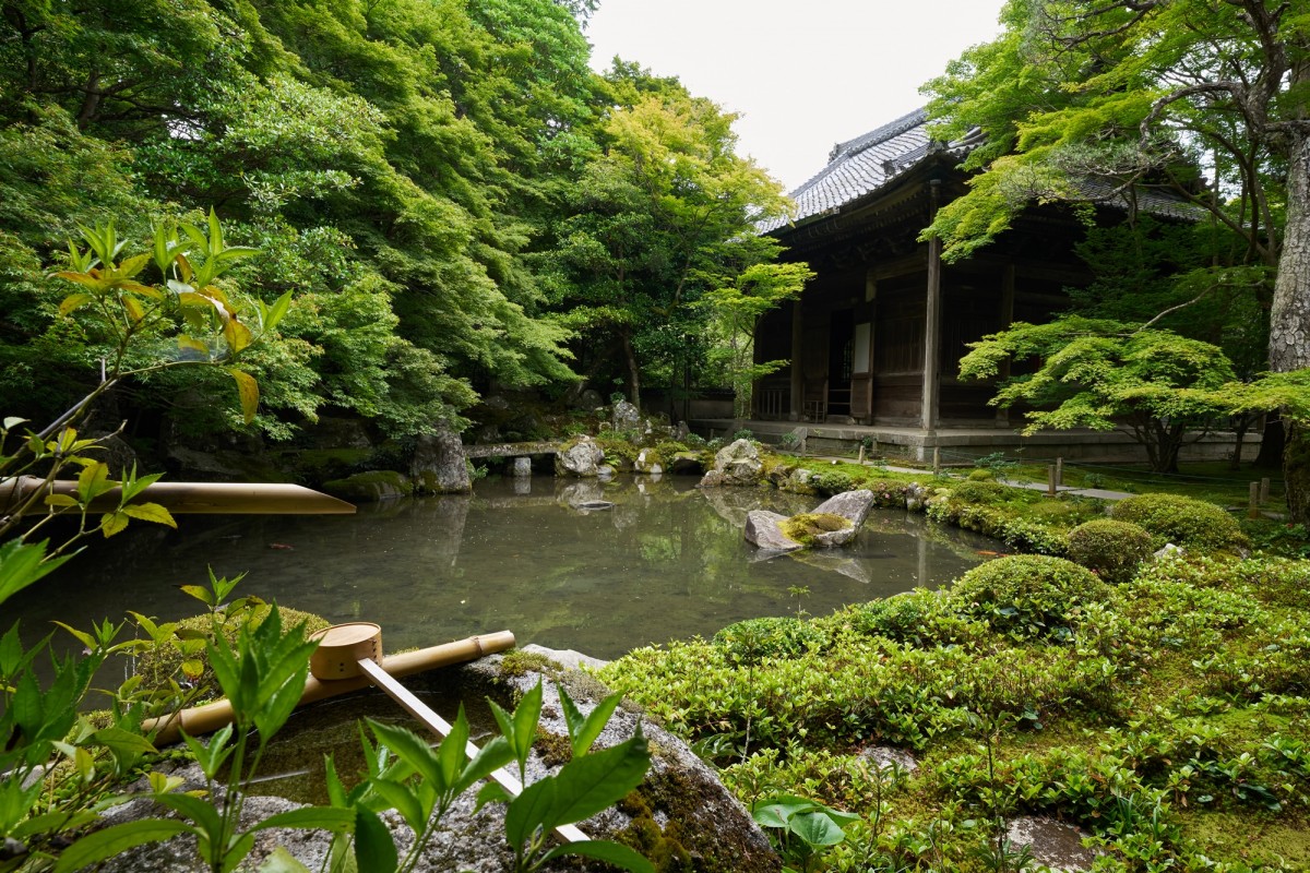 蓮華寺【二次使用NG】