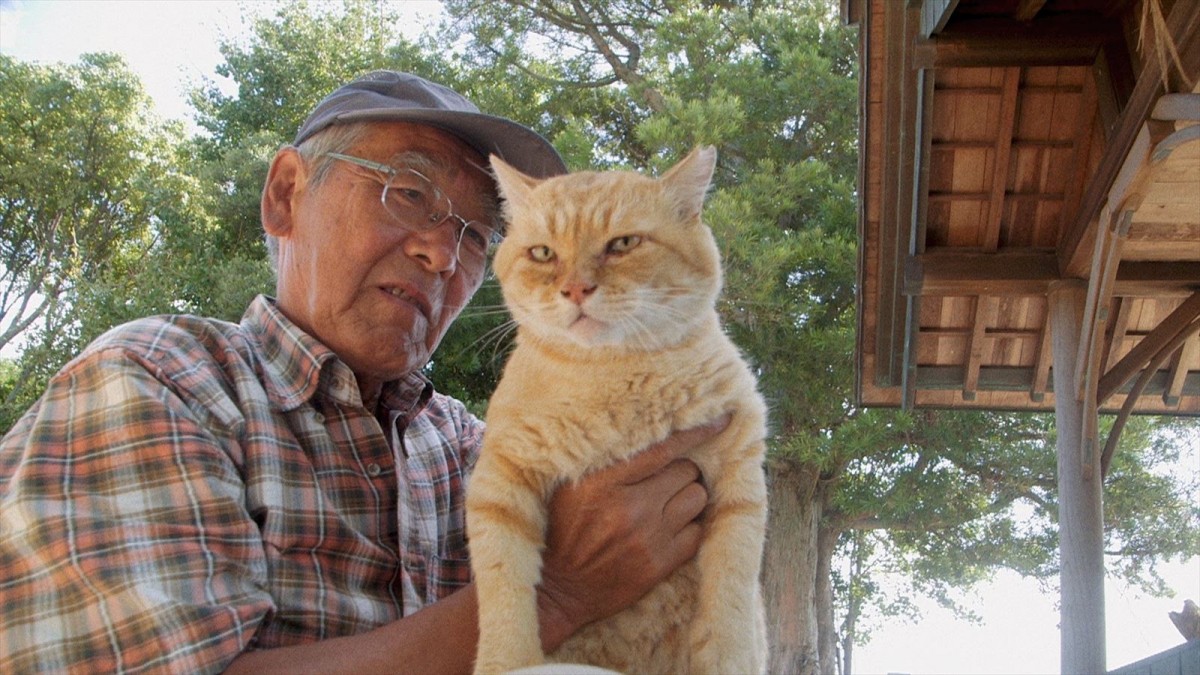 人と猫と自然の共生を映し出すドキュメンタリー映画『五香宮の猫』本予告解禁　ほしよりこ、小林聡美らのコメントも到着