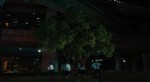 映画『HAPPYEND』場面写真