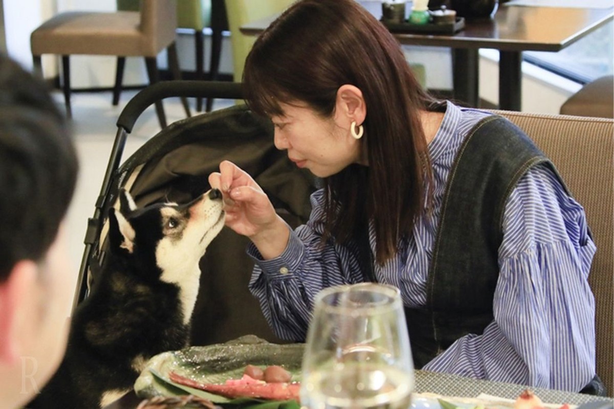 20240905「静岡・ゆるり西伊豆で愛犬と滞在を満喫」