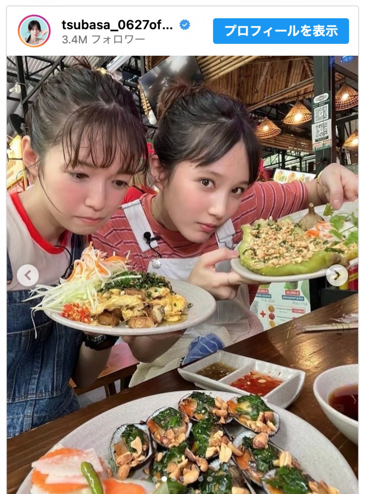 本田翼、ニックネーム呼びの仲良しタレントとベトナムへ「お似合いで姉妹みたいですね」