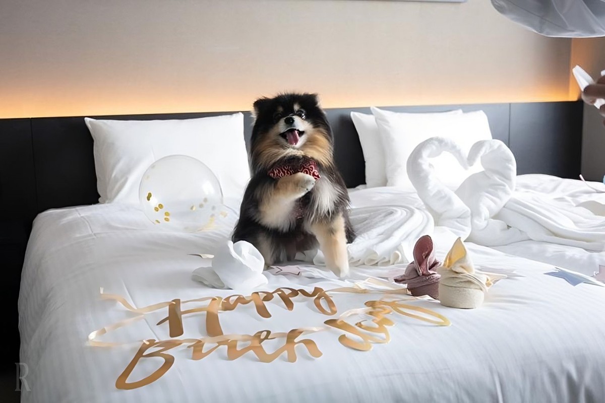 20240926「hotel anddoggy京都二条」