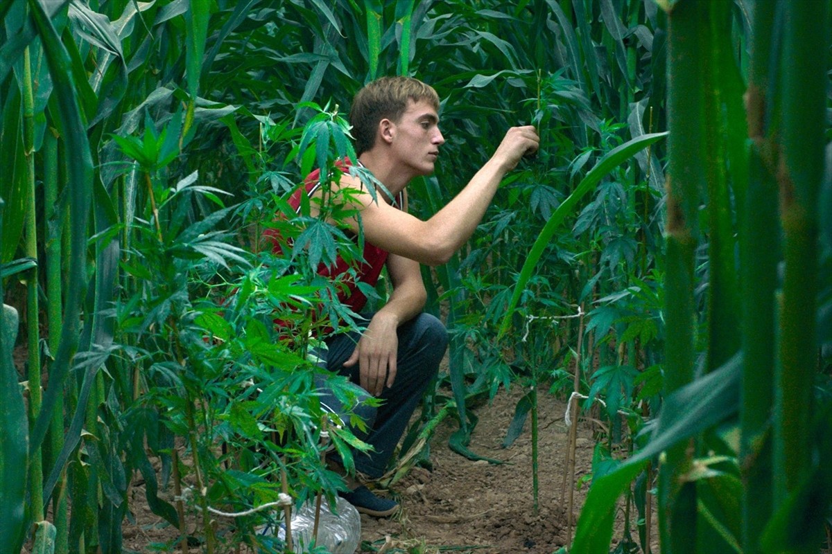 ベルリン国際映画祭金熊賞受賞、カルラ・シモン監督作『太陽と桃の歌』12.13日本公開＆予告解禁　農園を営む大家族の最後の夏を描く