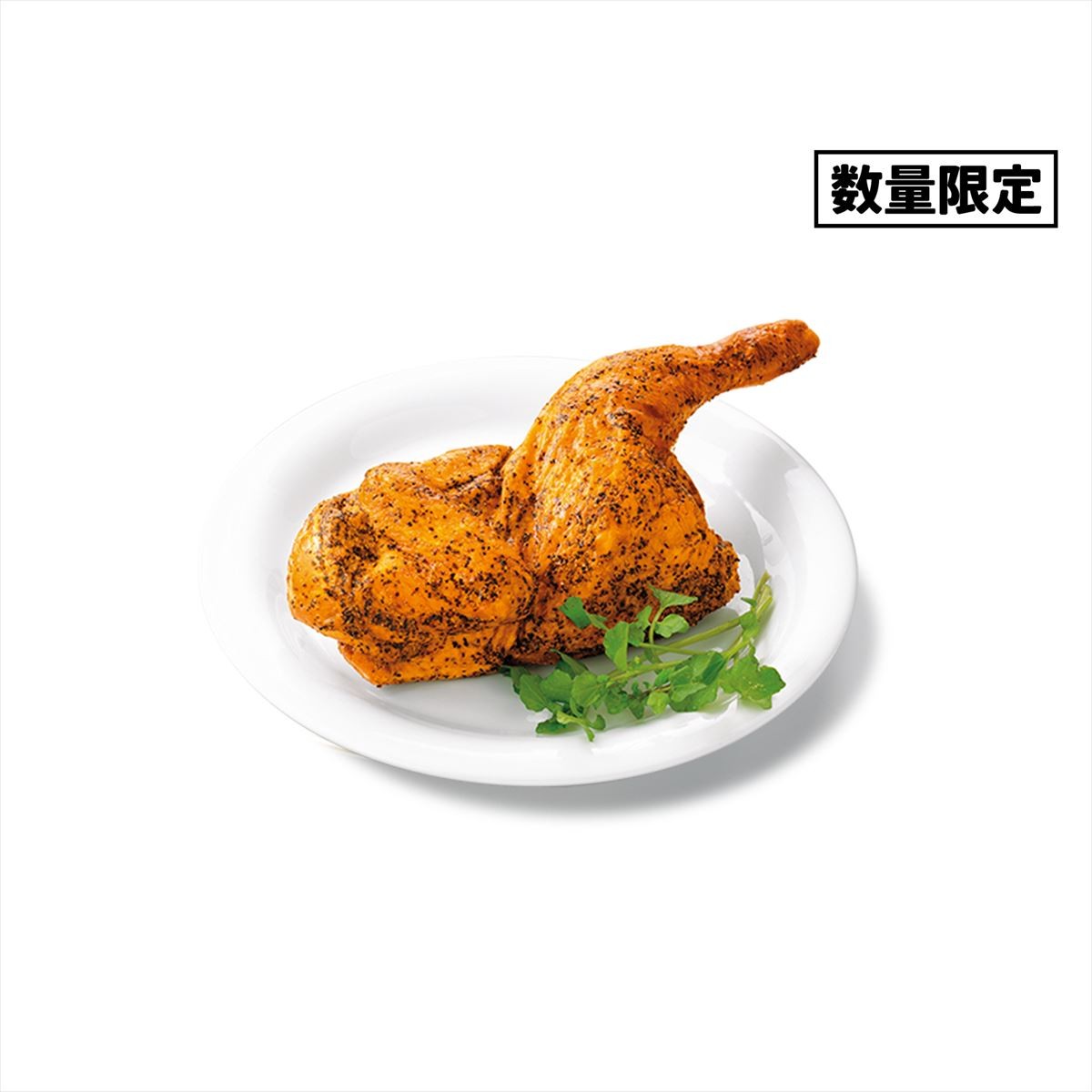 20241105 ケンタッキー