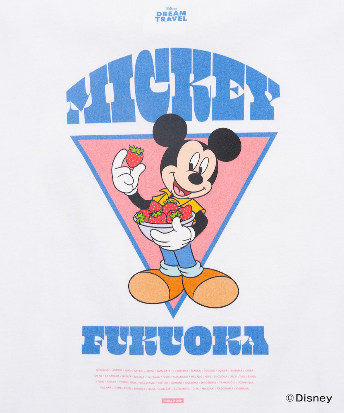 241213_ご当地ディズニーTシャツ