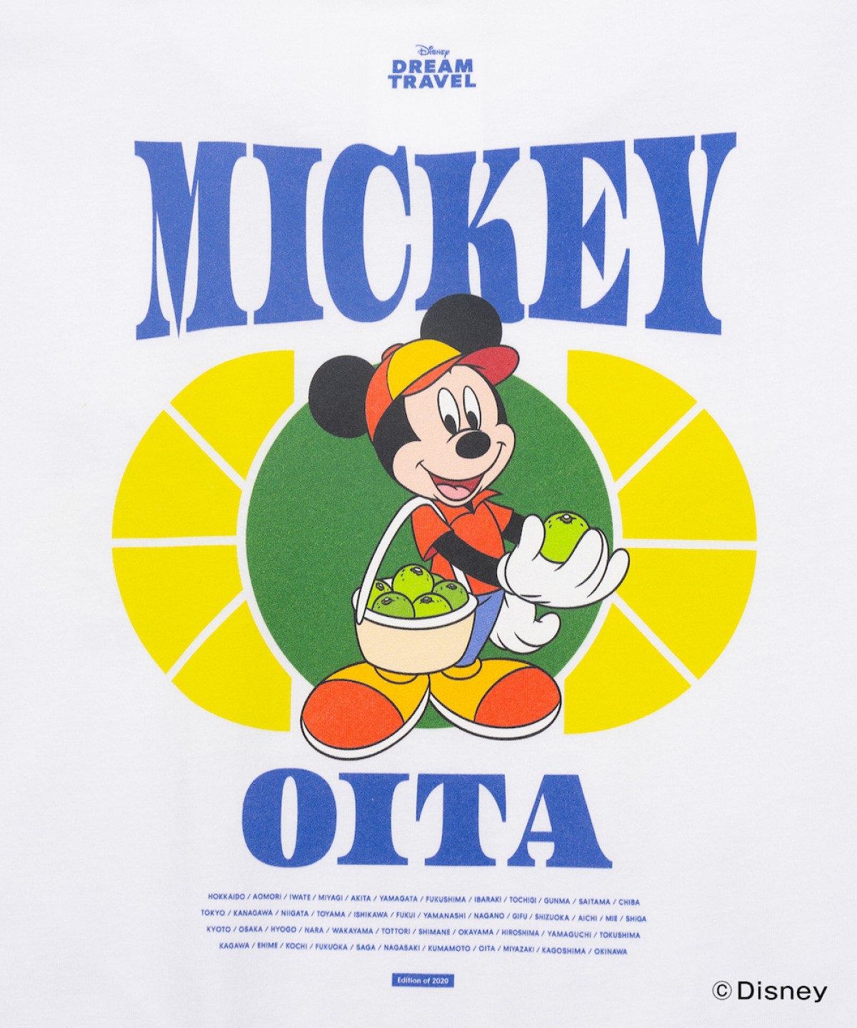 241213_ご当地ディズニーTシャツ