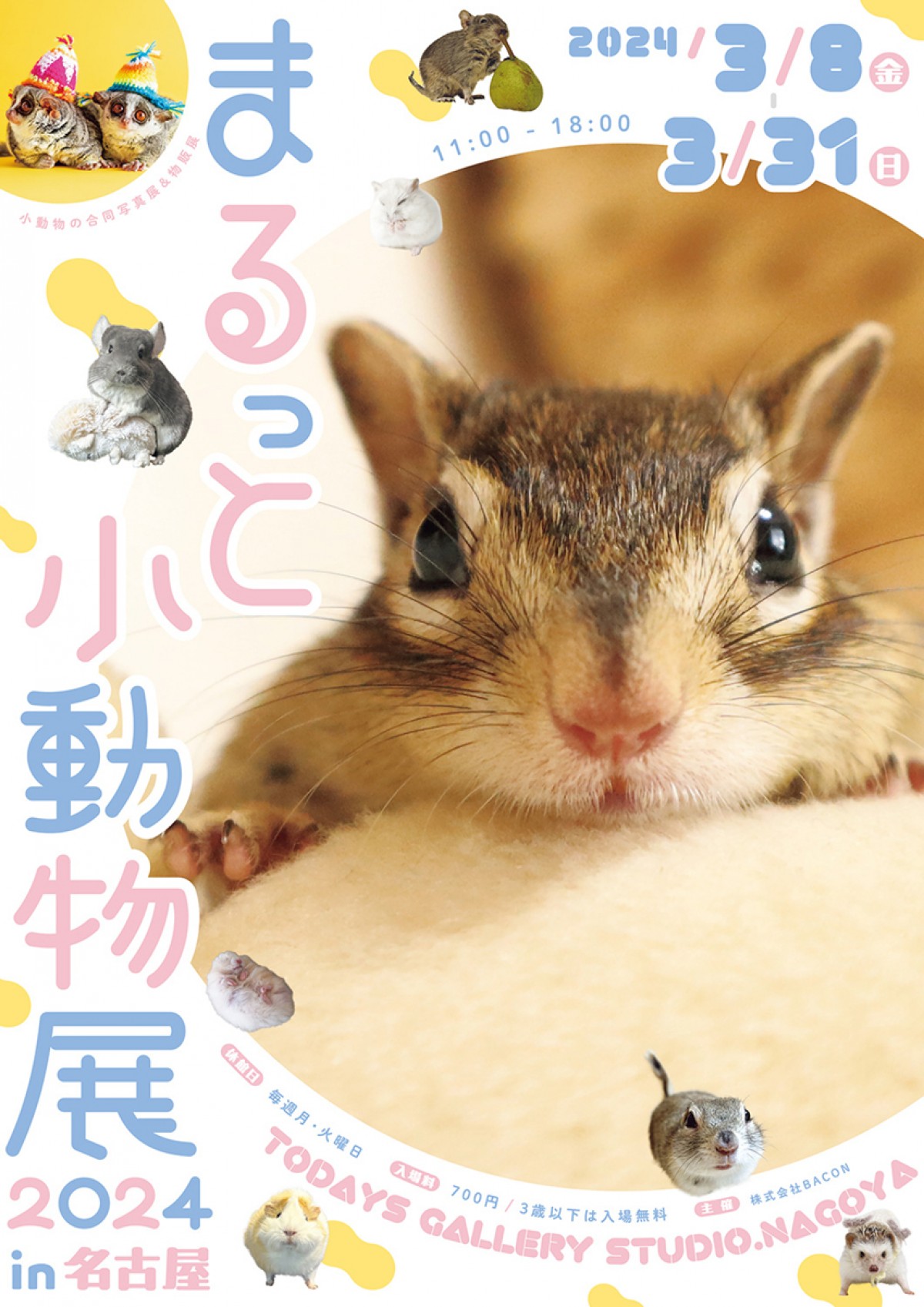20240209「まるっと小動物展 2024 in 名古屋」