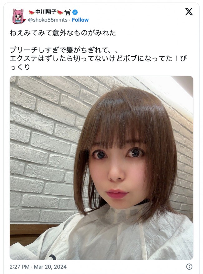 中川翔子、まさかのヘアスタイルを披露　※「中川翔子」エックス