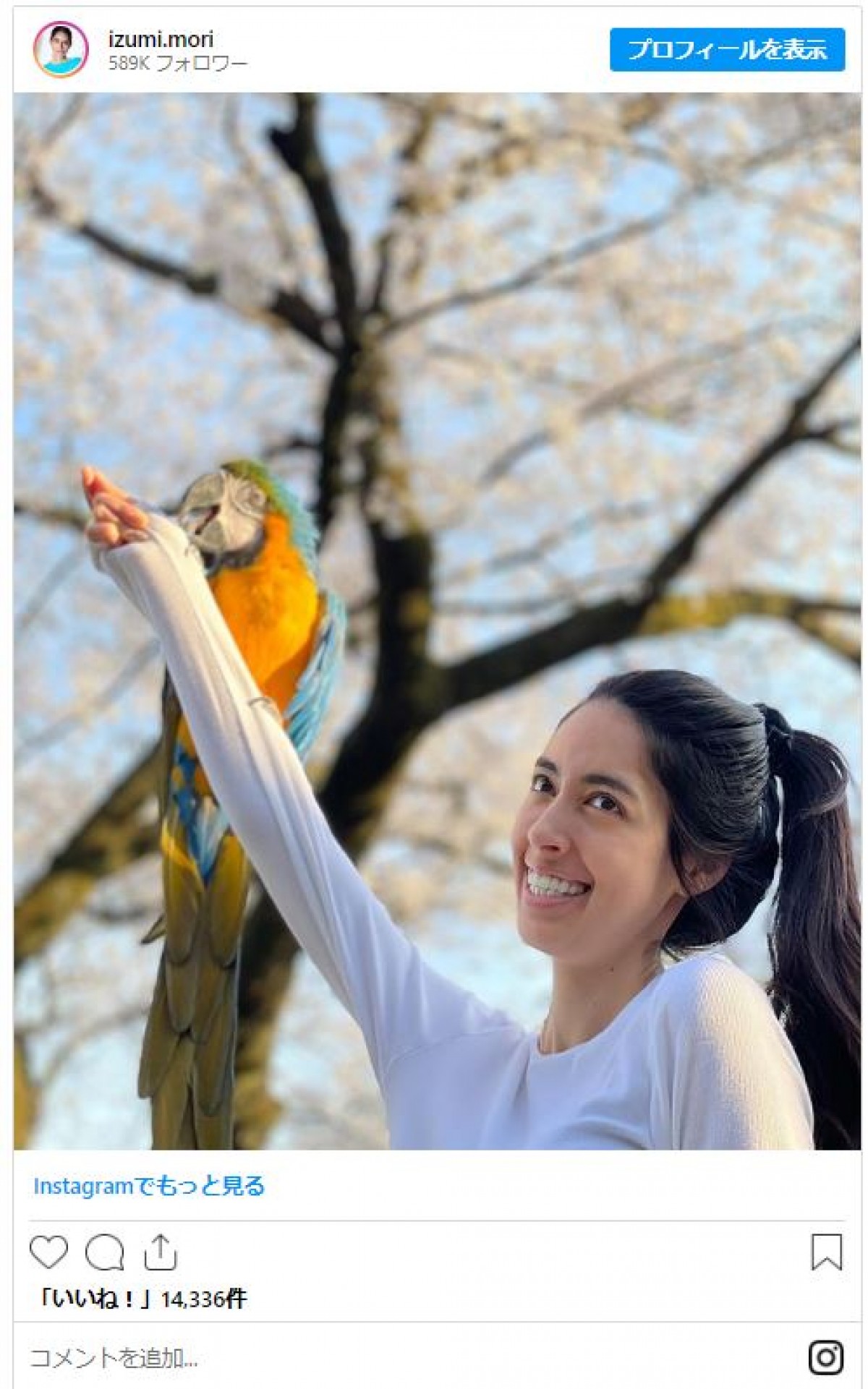 美女たちと桜が“美の競演”！　女性芸能人のお花見ショットをイッキ見