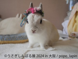 20240425「うさぎしんぼる展 2024 in 大阪」