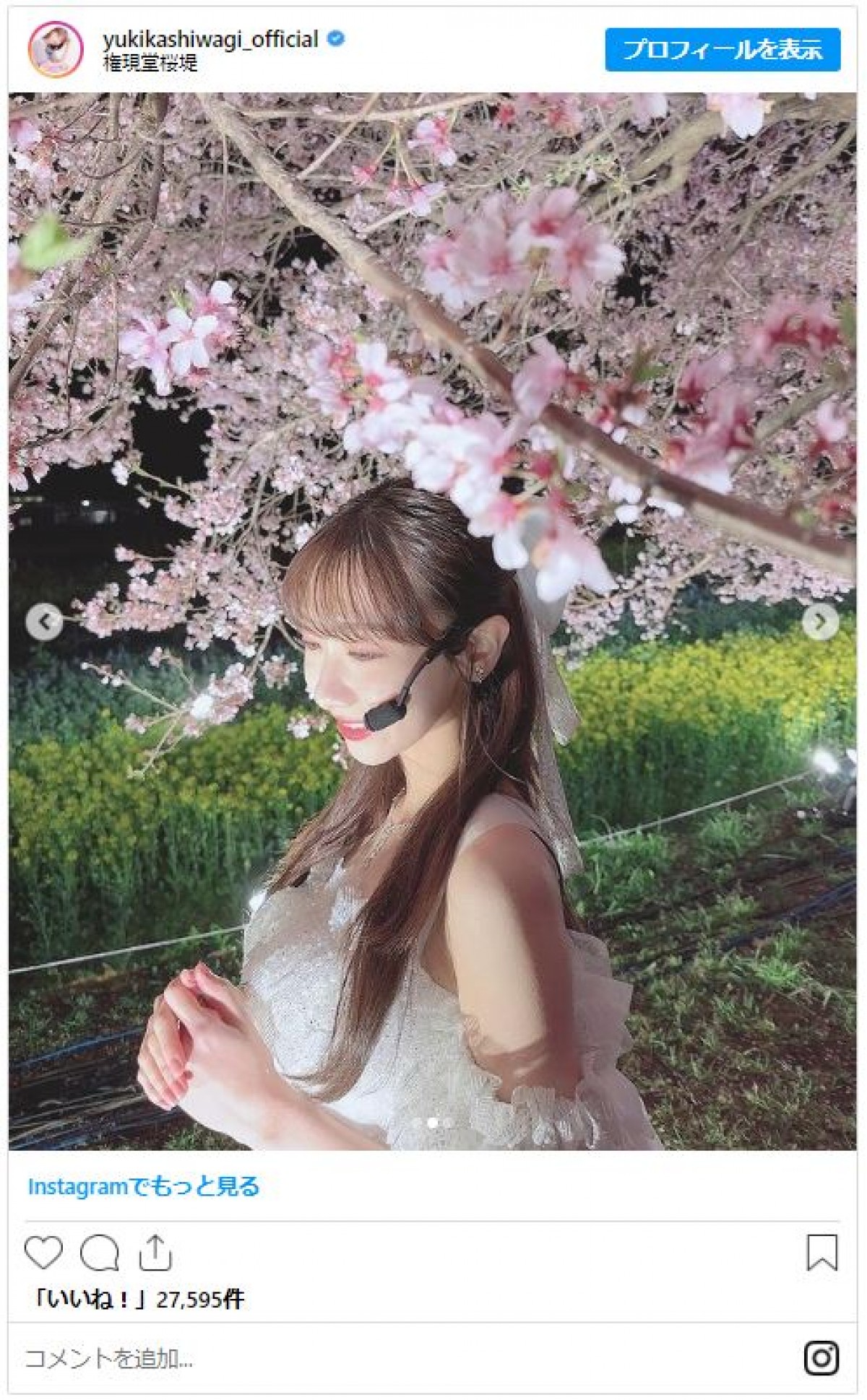 美女たちと桜が“美の競演”！　女性芸能人のお花見ショットをイッキ見