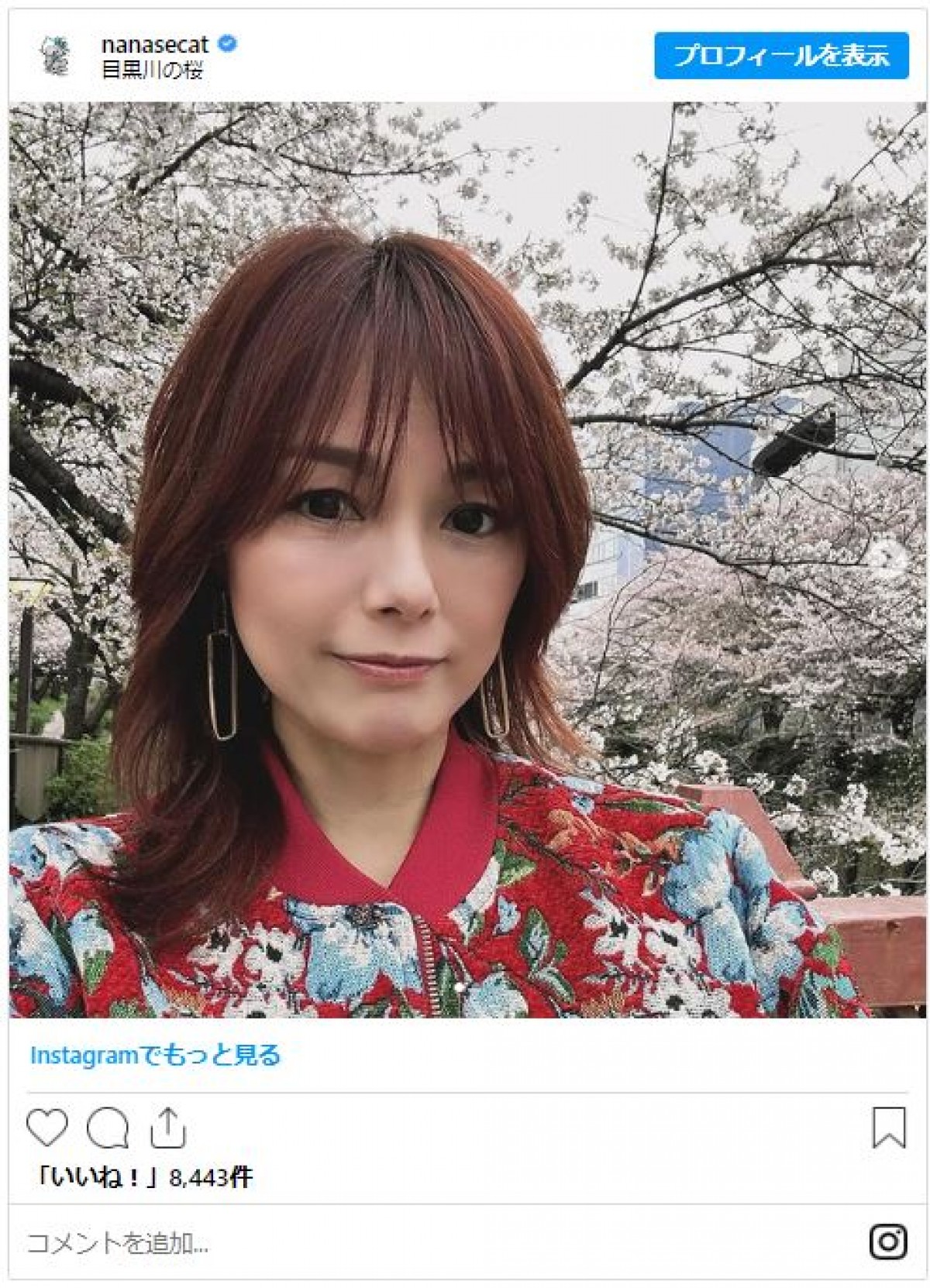 美女たちと桜が“美の競演”！　女性芸能人のお花見ショットをイッキ見
