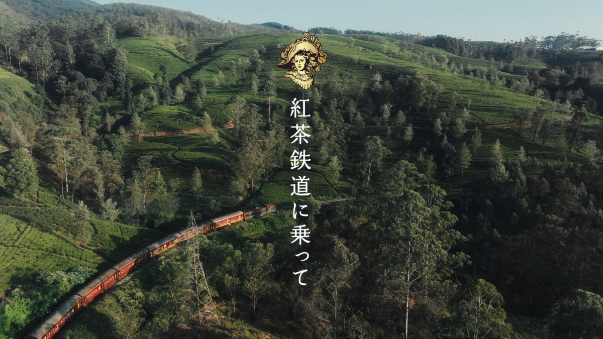 Snow Man・目黒蓮、スリランカ“紅茶鉄道”からの景色に感動！　キリン「午後の紅茶」新CM