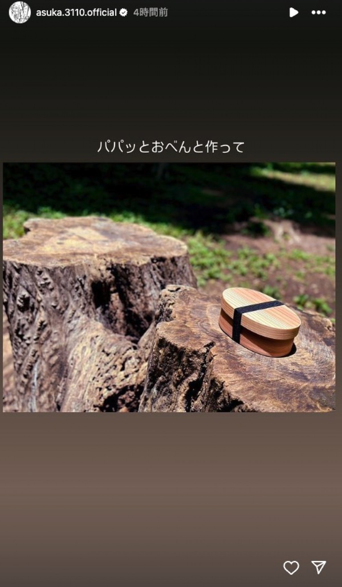 齋藤飛鳥、手作り弁当持参で公園へ　「めっちゃ美味しそう」「すごくない?!」