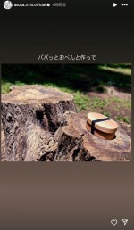手作り弁当を持って公園へ出掛けた齋藤飛鳥　※「齋藤飛鳥」インスタグラム