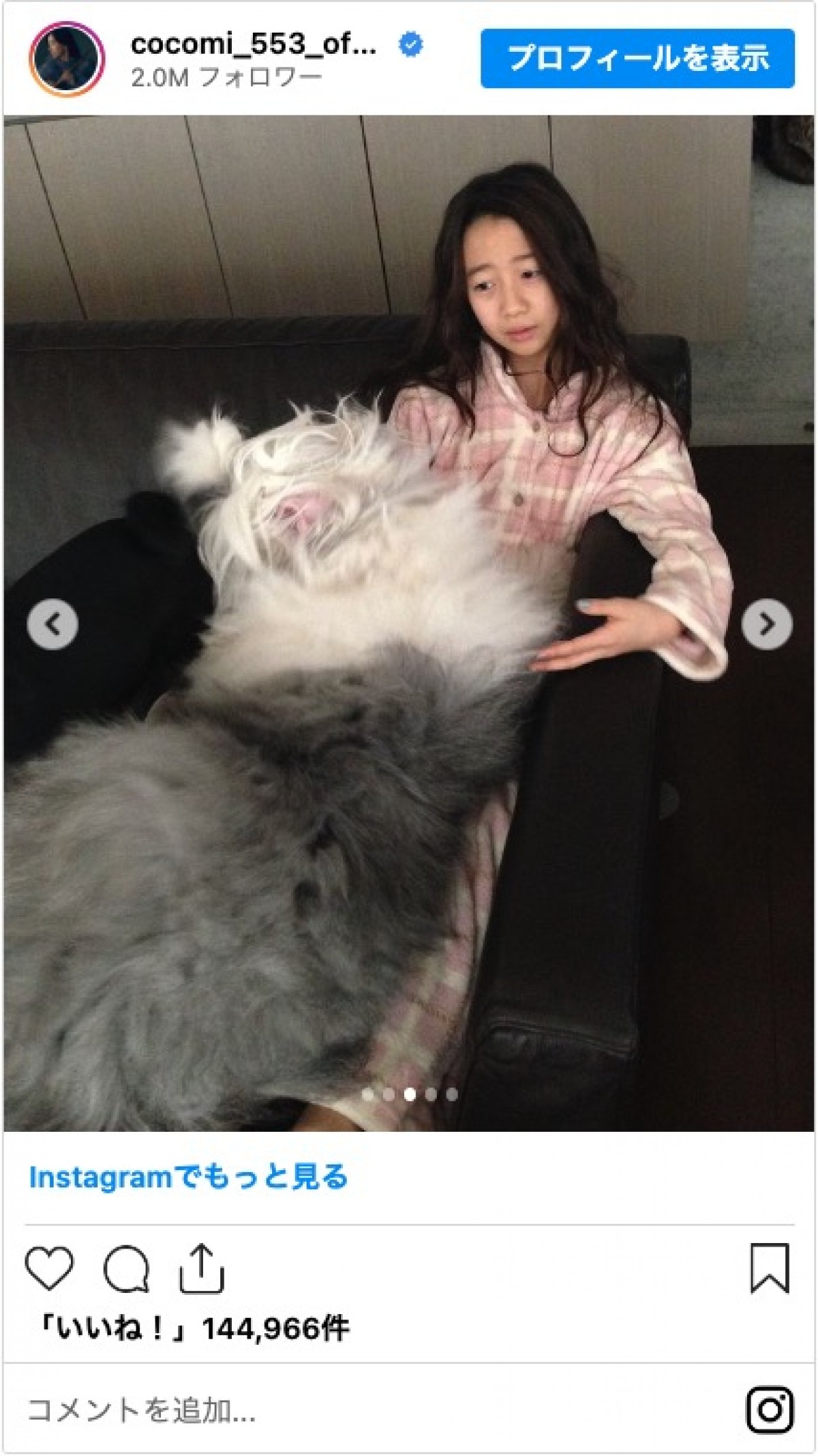 Cocomi、Koki，愛犬が天国へ「木村家に来てくれてありがとう」