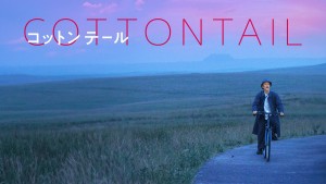 コットンテール