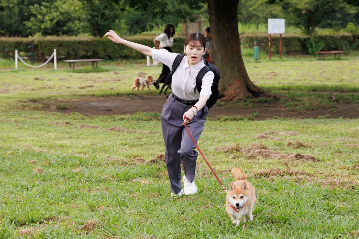 『GO HOME』第7話　“桜”小芝風花＆“真”大島優子ら身元不明相談室に“遺留犬”がやってくる