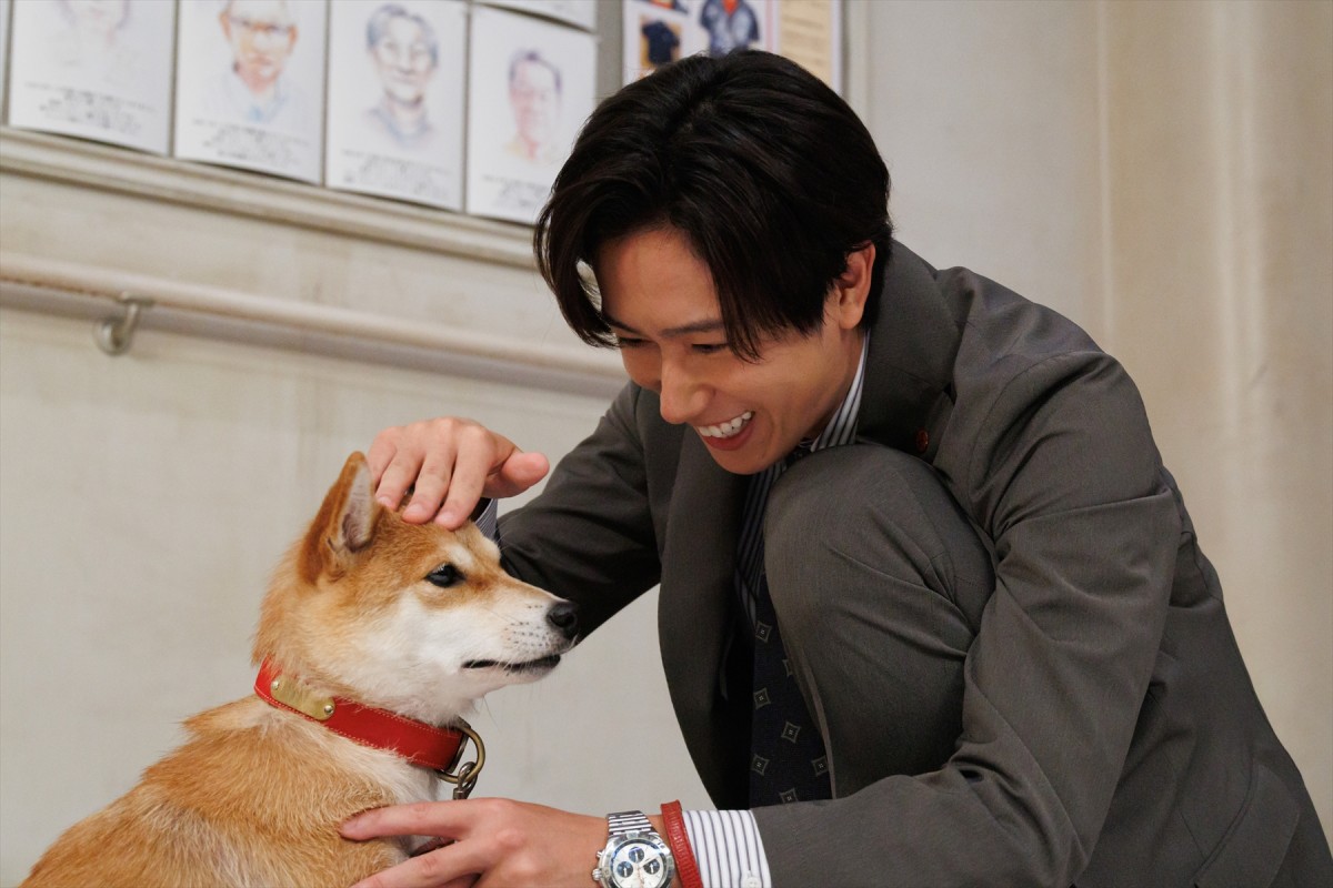 『GO HOME』第7話　“桜”小芝風花＆“真”大島優子ら身元不明相談室に“遺留犬”がやってくる