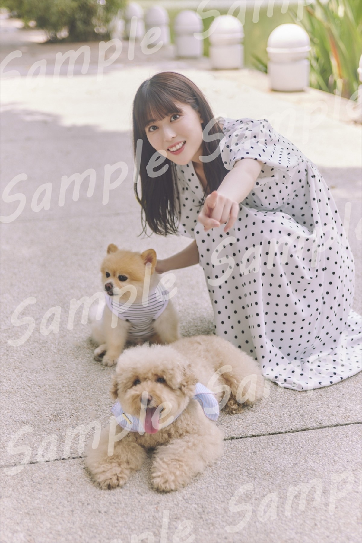 乃木坂46・岩本蓮加1st写真『いたずらな風』、書店別ポスター＆ポストカード特典の絵柄公開