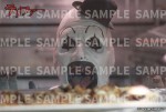 来場者特典のポストカード