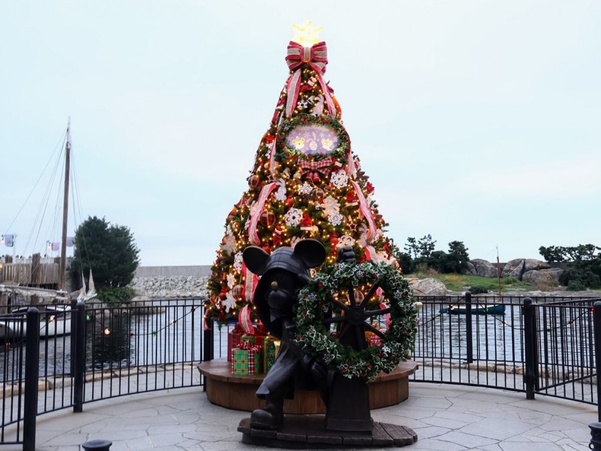 20241114 TDRクリスマス