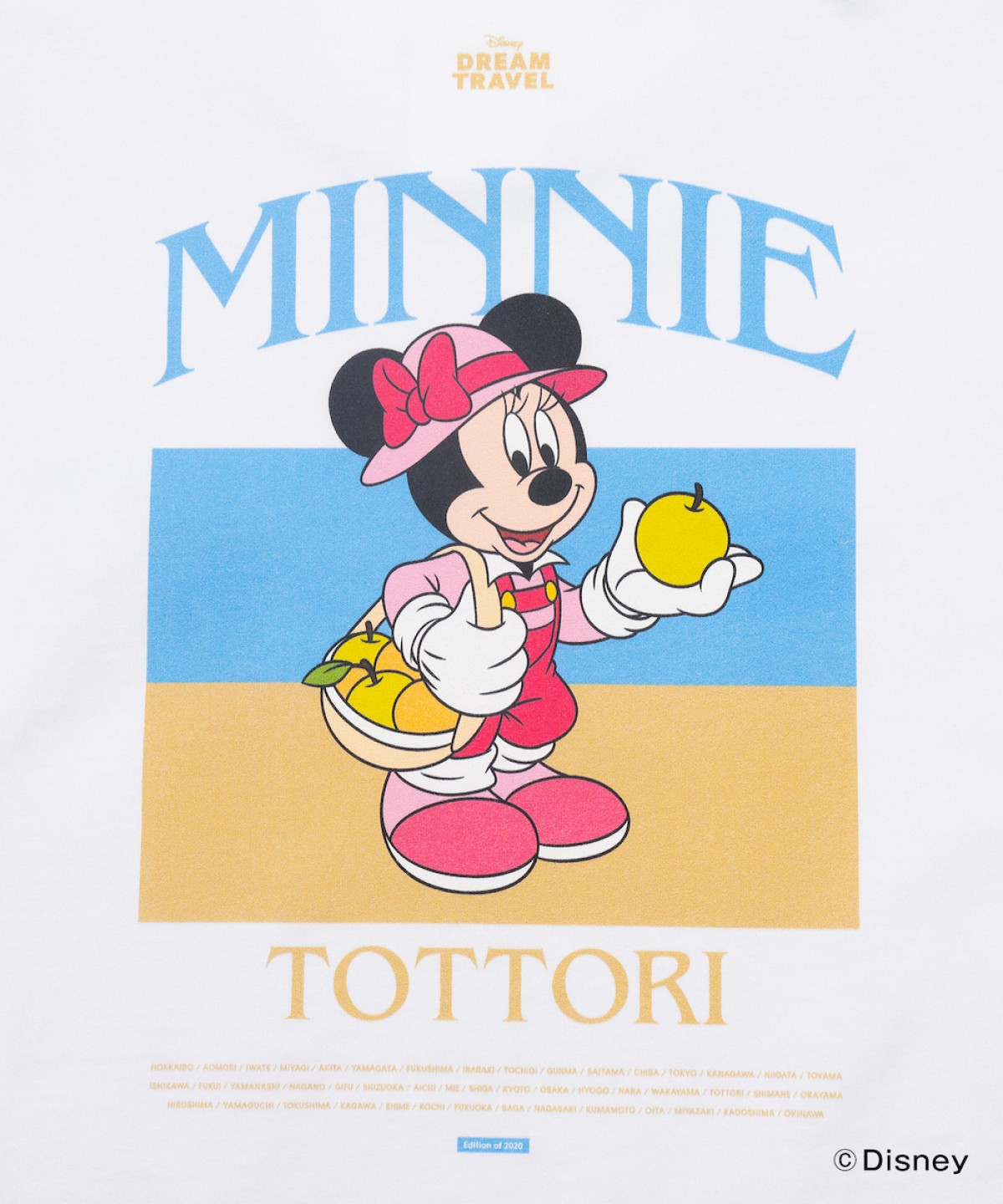 241213_ご当地ディズニーTシャツ