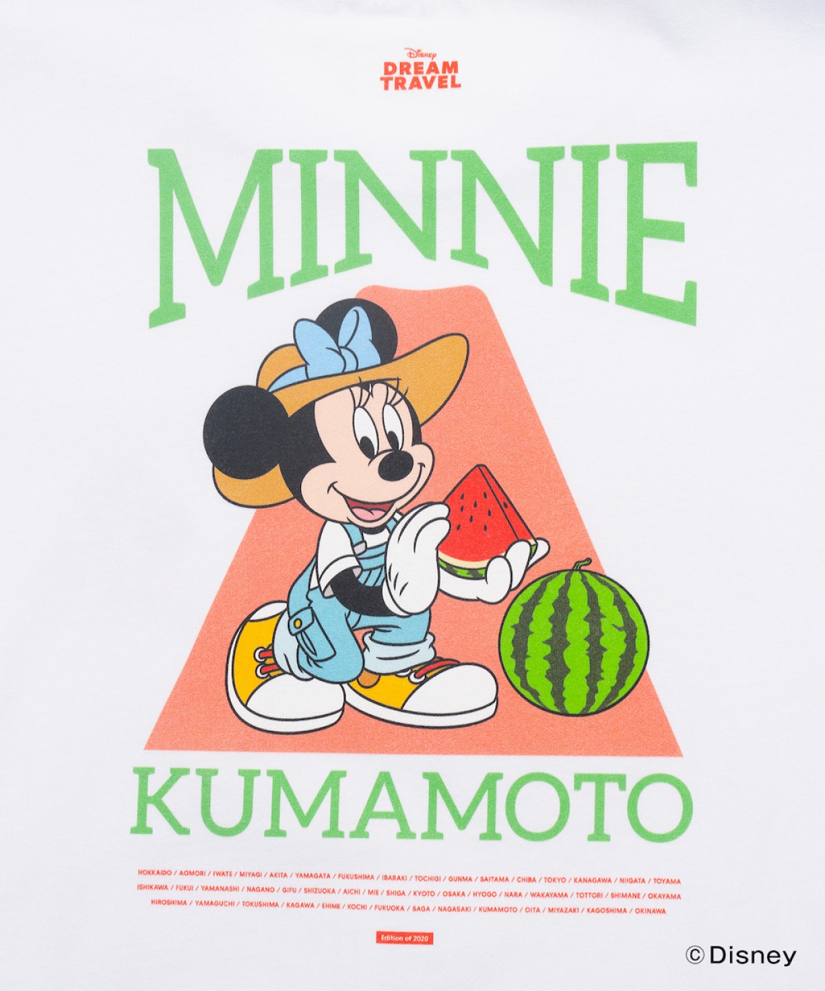 241213_ご当地ディズニーTシャツ