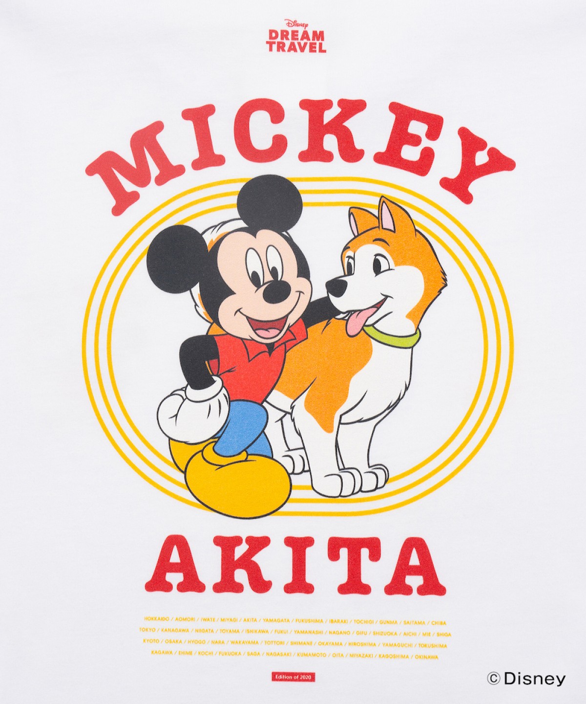 241213_ご当地ディズニーTシャツ