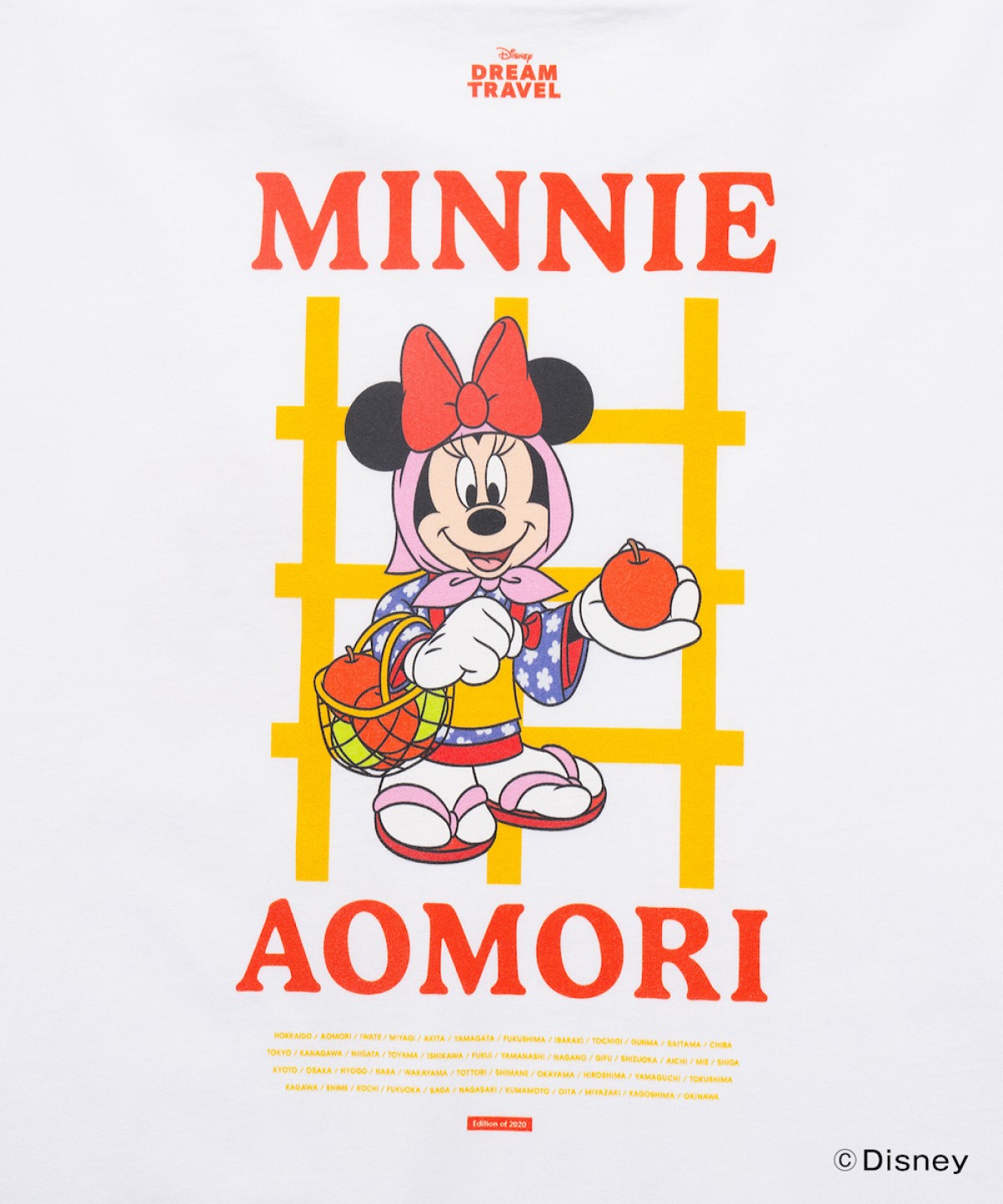 241213_ご当地ディズニーTシャツ