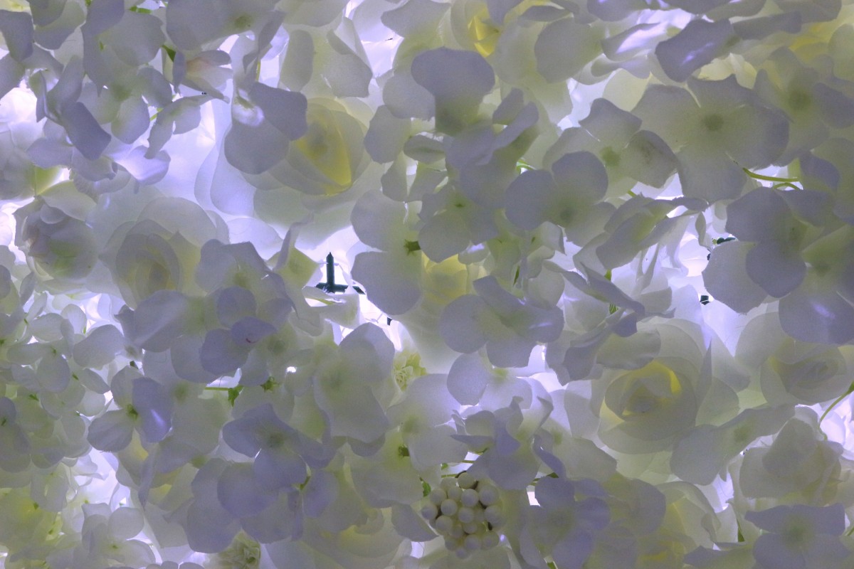 20240215 「Sorule Museum」JO1
