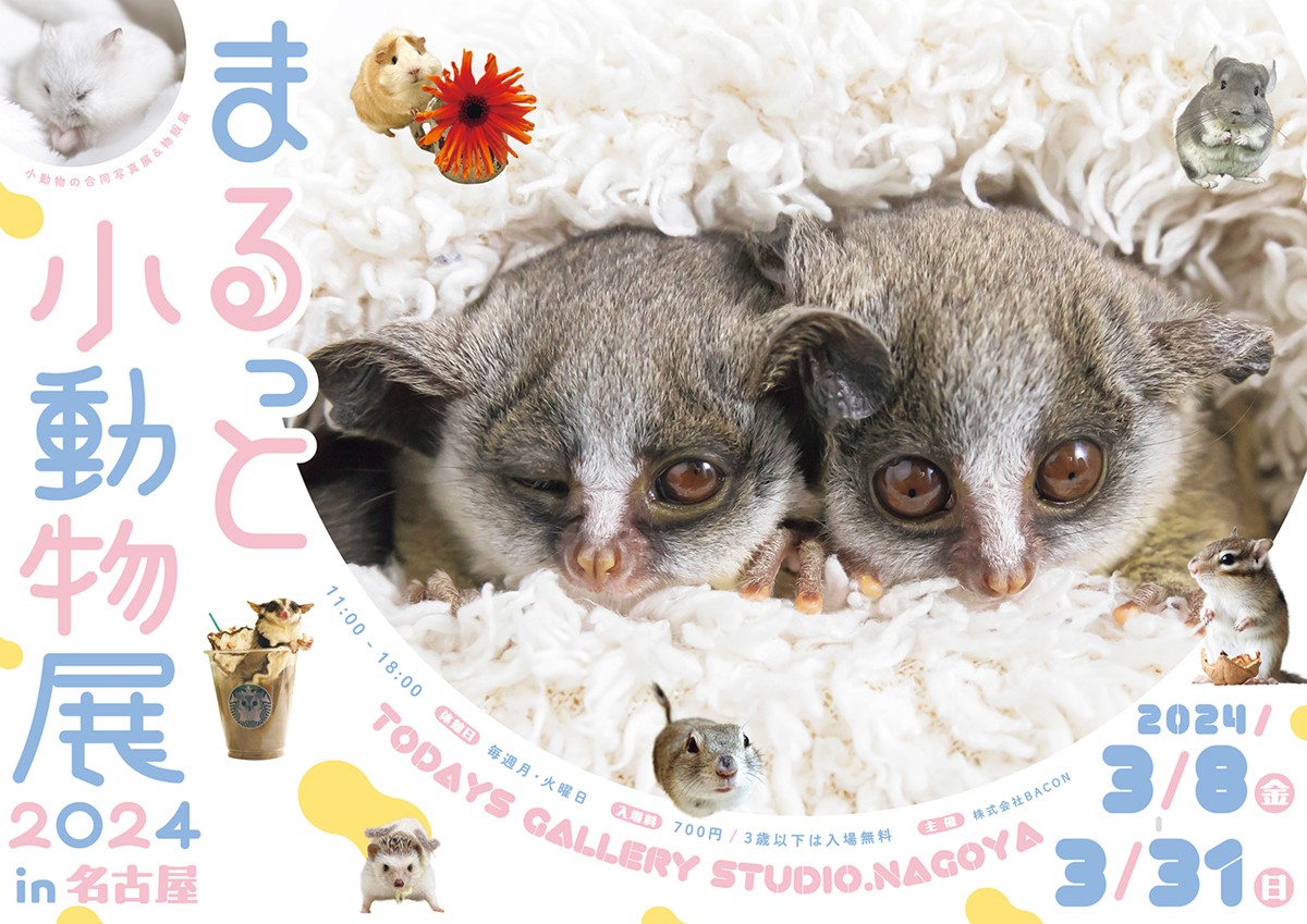 20240209「まるっと小動物展 2024 in 名古屋」