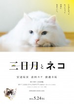 映画『三日月とネコ』ティザービジュアル