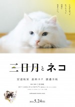 映画『三日月とネコ』ティザービジュアル