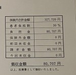 一度の通院で8万円超！　※「ネイボール」ブログ
