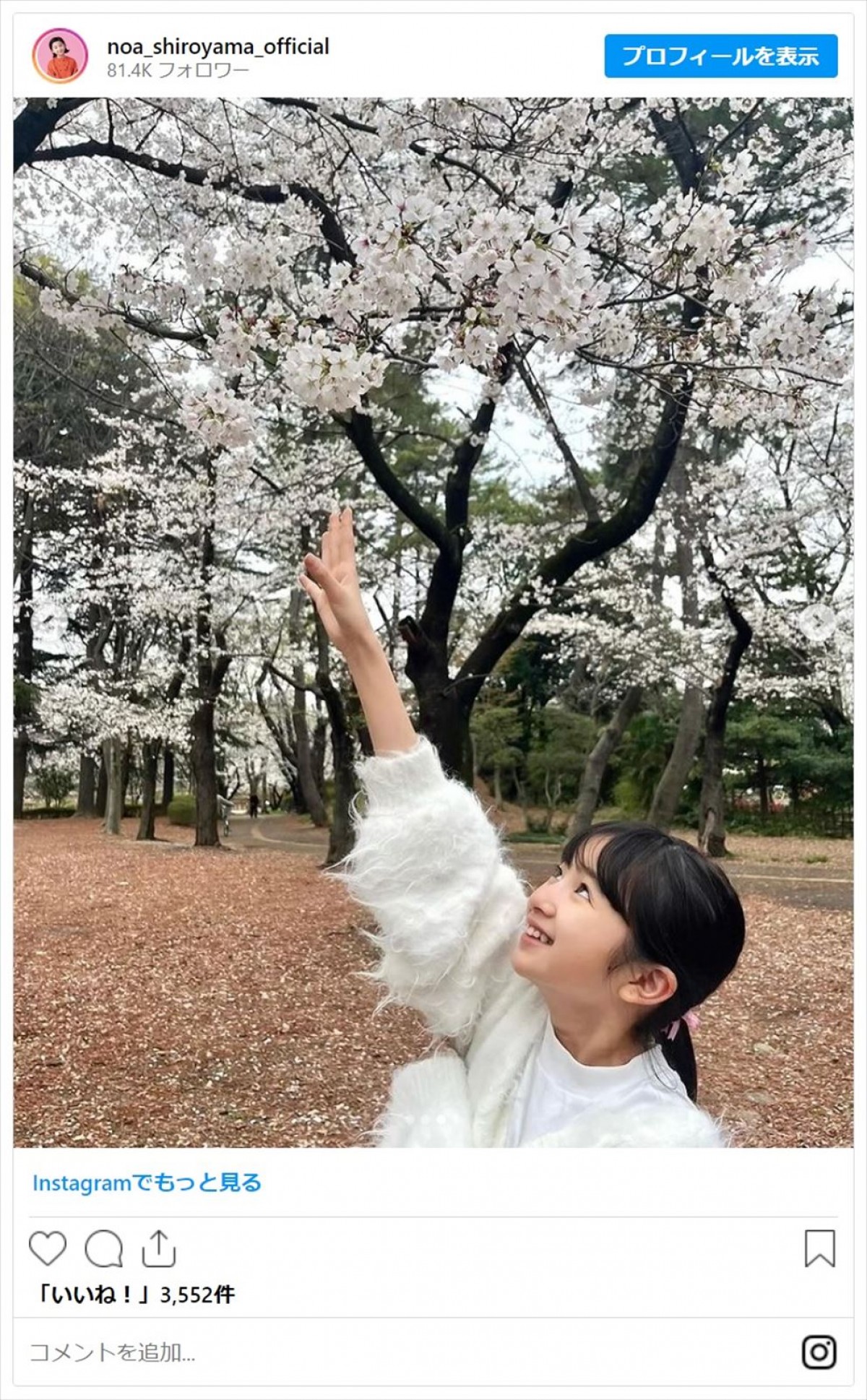 美女たちと桜が“美の競演”！　女性芸能人のお花見ショットをイッキ見