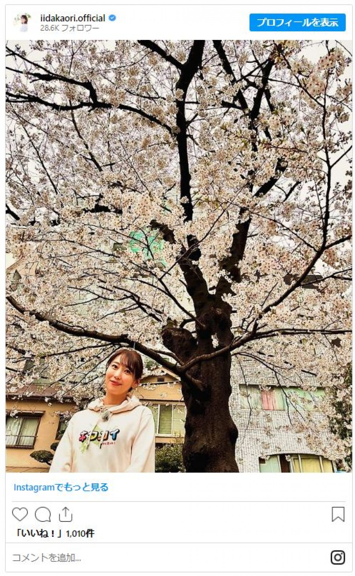 美女たちと桜が“美の競演”！　女性芸能人のお花見ショットをイッキ見