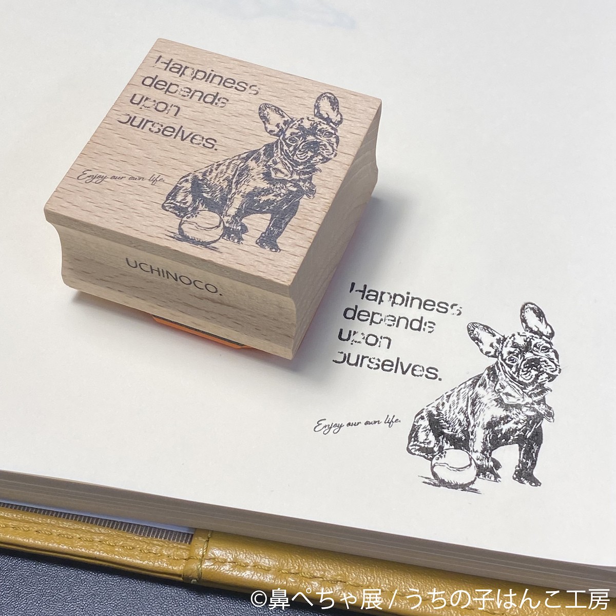 240426_鼻ぺちゃ展