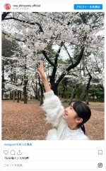 白山乃愛、満開の桜の下でお花見を楽しむ　※「白山乃愛」インスタグラム