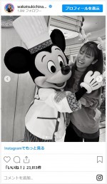 粘土加工アプリで加工する前のディズニーショット　※「若槻千夏」インスタグラム