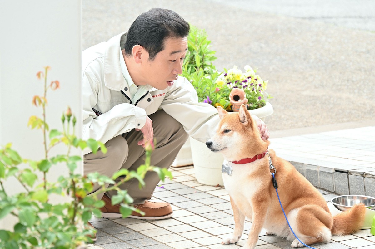『花咲舞が黙ってない』第4話　“舞”今田美桜、元カレのピンチに“相馬”山本耕史とともに立ち上がる