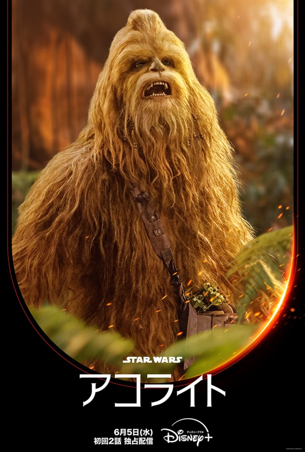 『スター・ウォーズ：アコライト』キャラポス公開！　SW実写初“ウーキー族のジェダイ”も登場