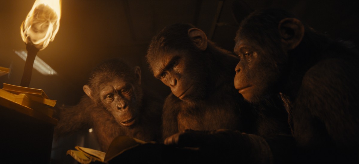【心揺さぶられた観客続出中！】猿が支配する“300年後の世界”に没入！　新作『猿の惑星／キングダム』が感動する理由とは？